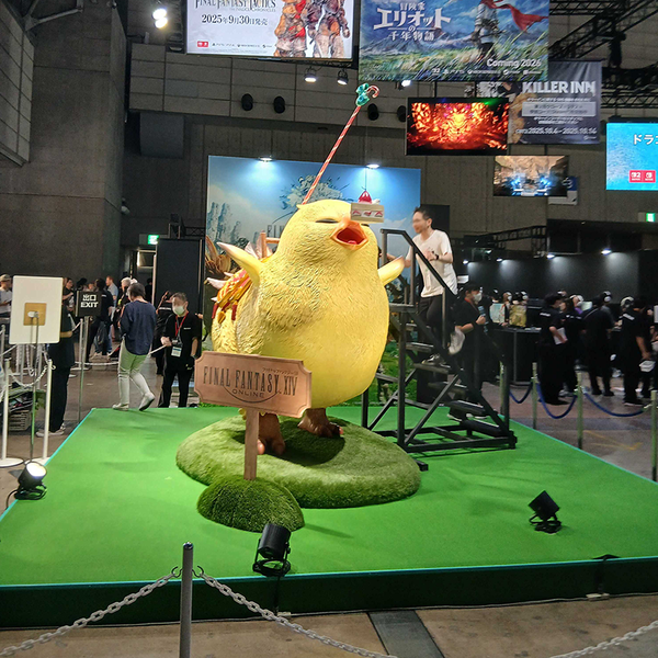 Blog Post Image 6