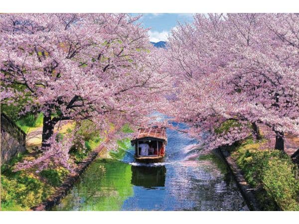 Jigsaw Puzzle Landscapes of Japan (Cherry Blossoms): Cherry Blossoms and the Fushimi Jikkokubune 1000 Micro pcs (38 x 26cm)