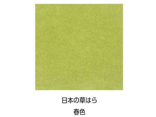 Humid Wild Grass, Spring Color