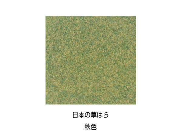Humid Wild Grass, Autumn Color