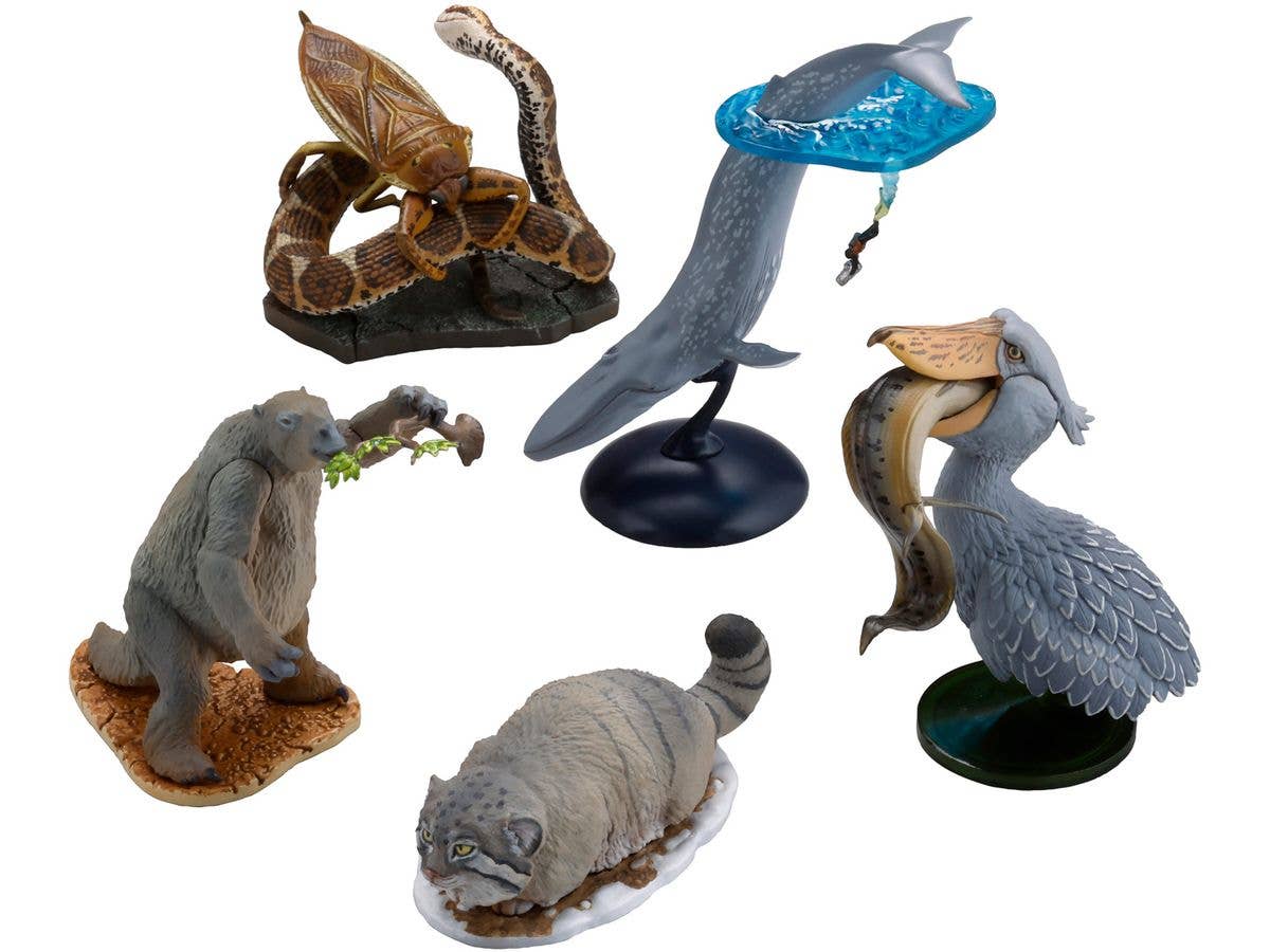 Darwin's Amazing Animals Miniature Figure 1Box 10pcs