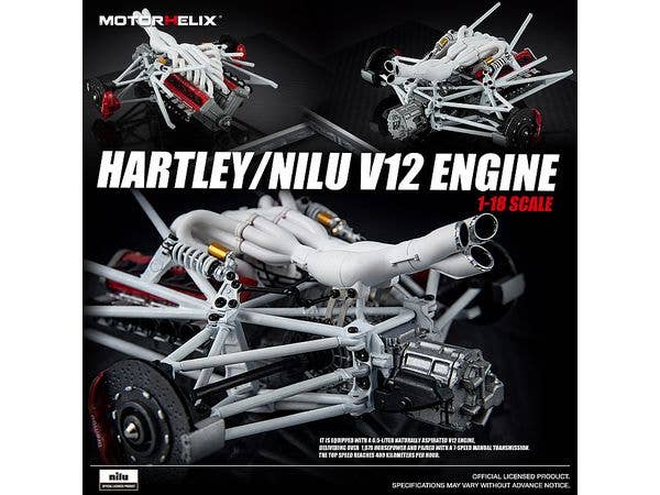 HARTLEY/NILU V12 Engine (Nilu Engine)