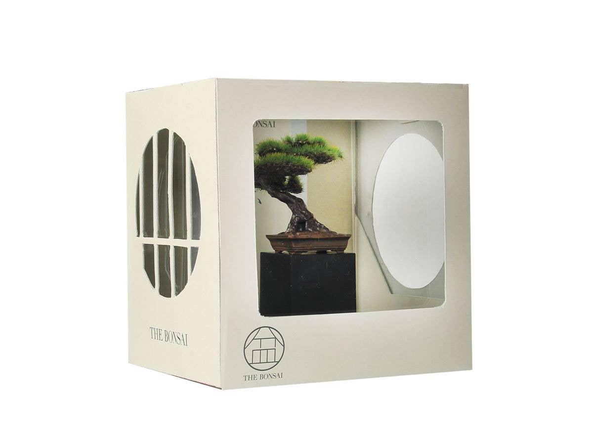 The Bonsai -Bonsai Nippon- #2