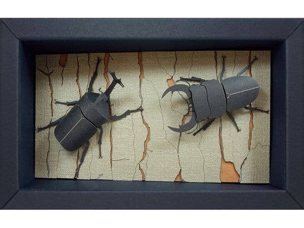 Japamini Series Japanese Rhinoceros Beetle and Giant Stag Beetle
