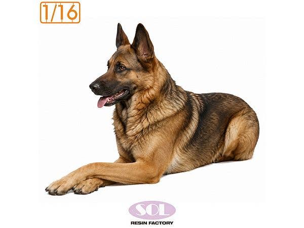 German Shepherd Dog -Lying Down Pose-