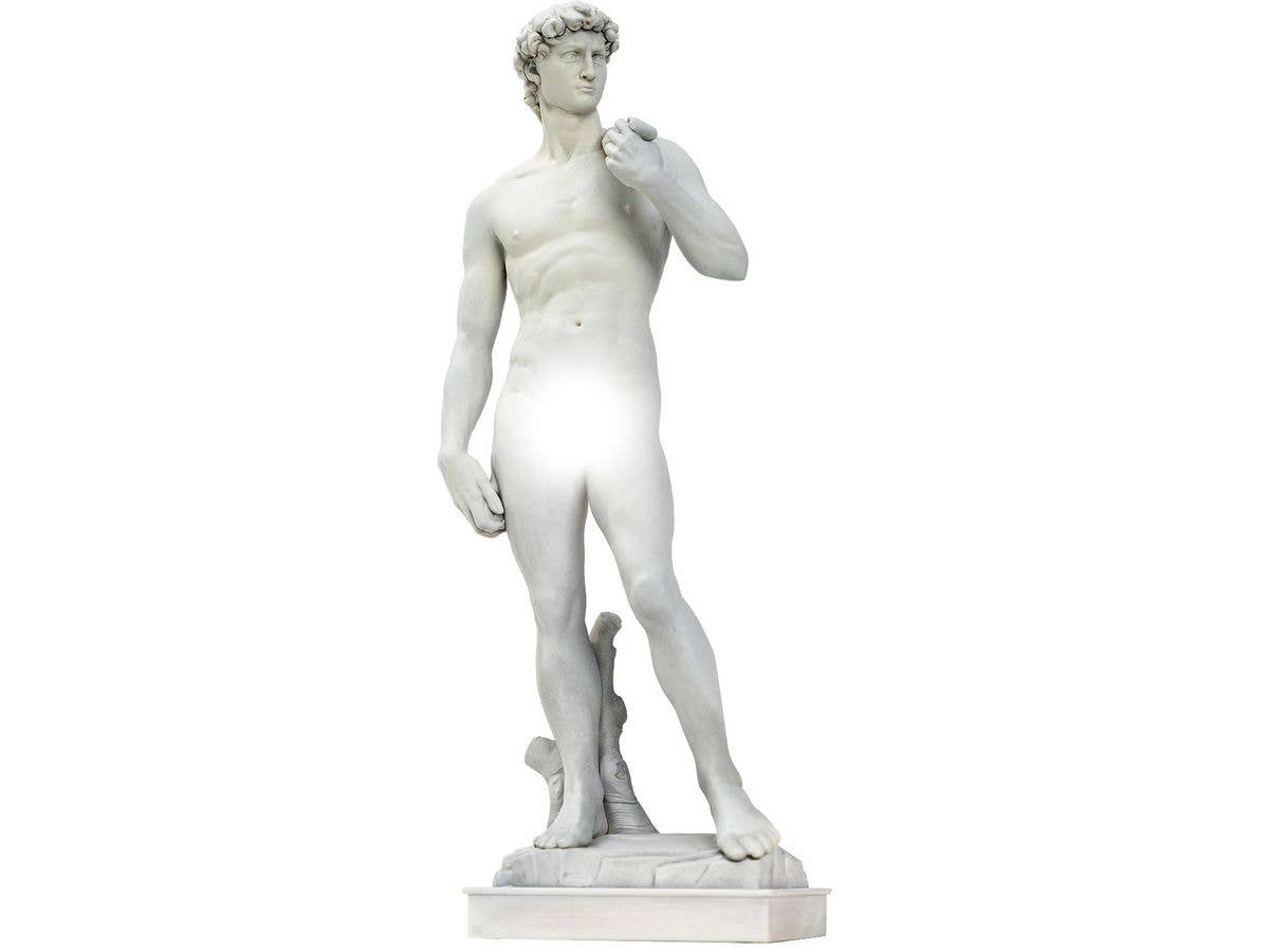 David Plastic Model