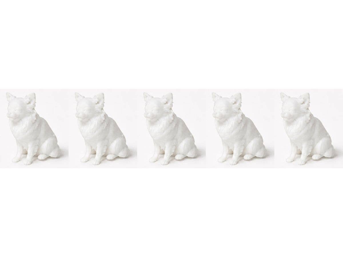 Chihuahua - 5 Pieces