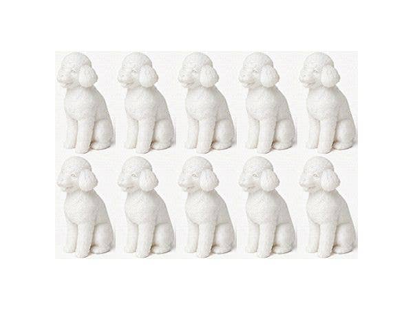 Toy Poodle Sitting (Set of 10)