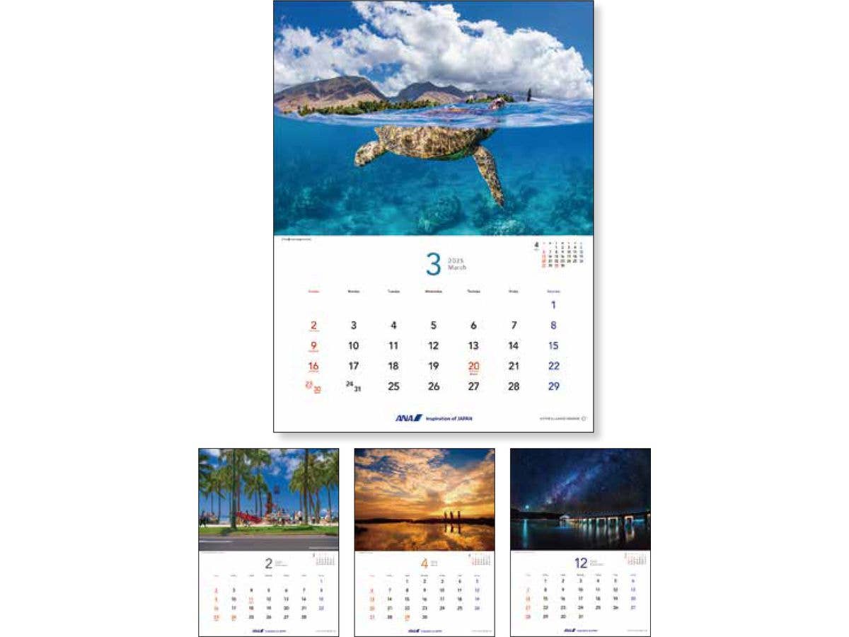2025 Wall Hanging ANA Graphic Gallery Calendar Hawaii