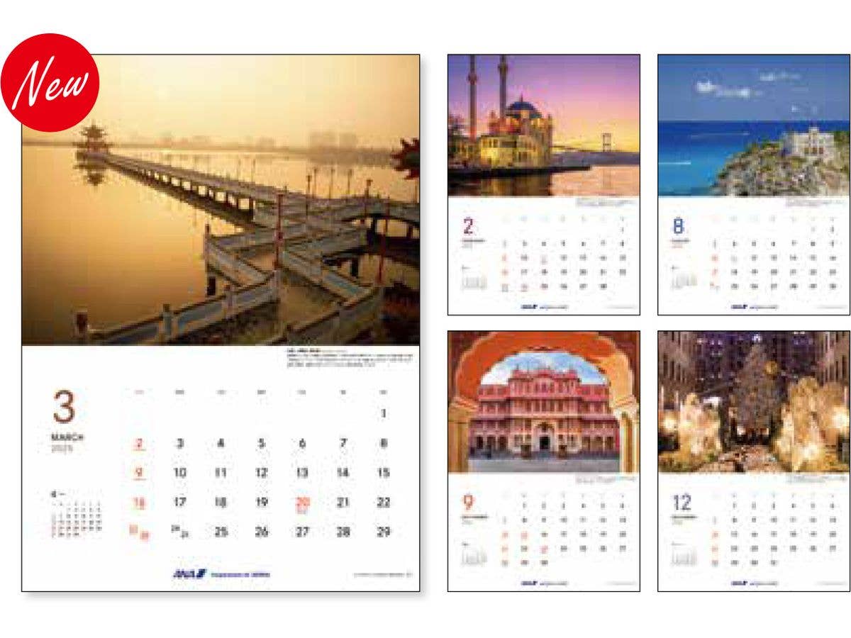 2025 Wall Hanging ANA Graphic Gallery Calendar In The World