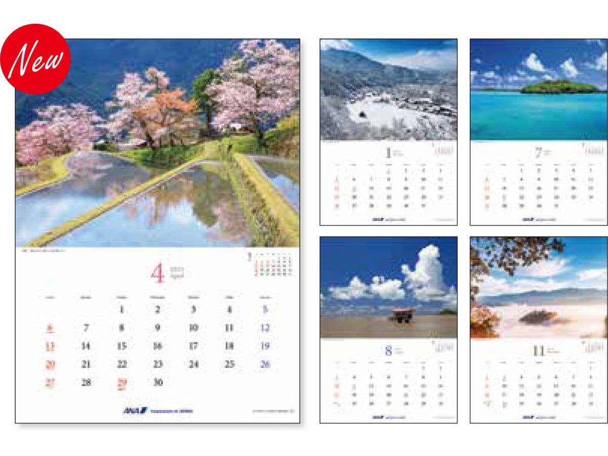 2025 Wall Hanging ANA Graphic Gallery Calendar Japan