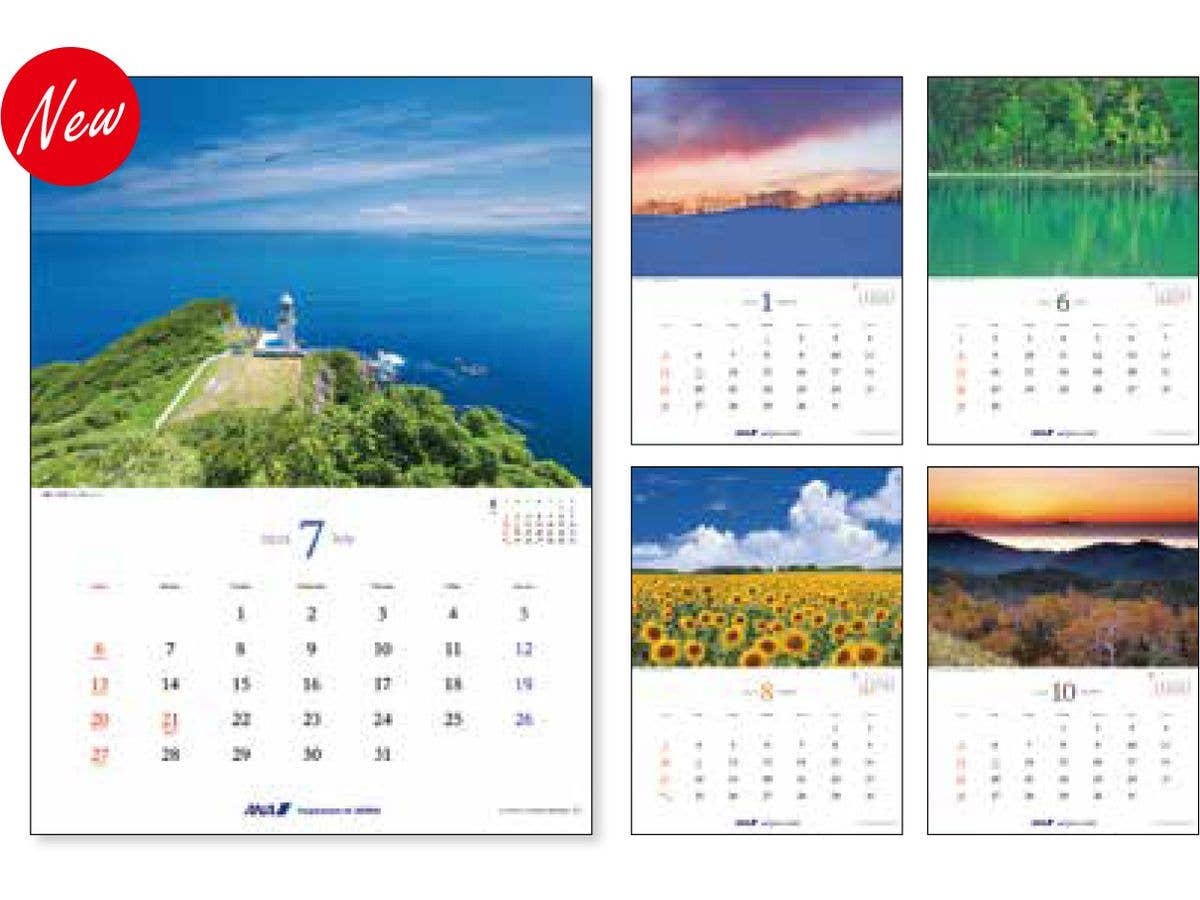 2025 Wall Hanging ANA Graphic Gallery Calendar Hokkaido