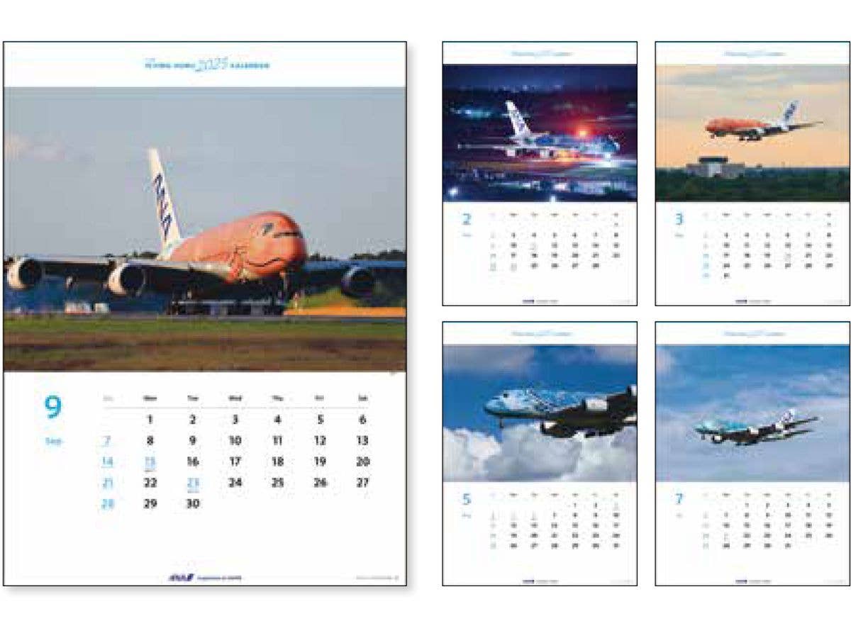 2025 Wall Hanging ANA A380 Flying Honu Calendar